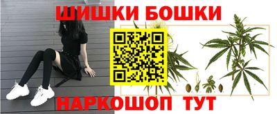 спайс Гусев