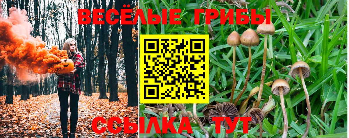 Москва  Галлюциногенные грибы Psilocybine cubensis  Вход с VPN 