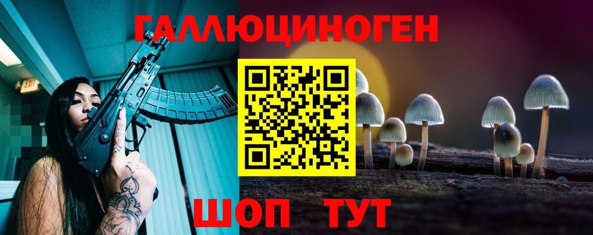 Псилоцибиновые грибы прущие грибы Москва